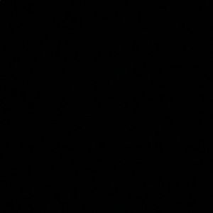 Meet your Posher, Junior